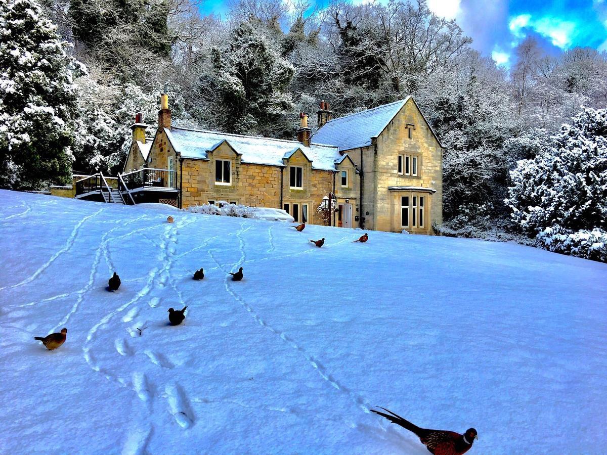 Mulgrave Country Cottage Sandsend Buitenkant foto